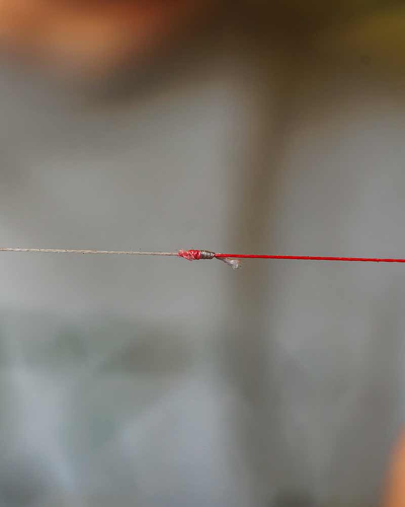 FOX Spomb Tapered Braided Leader - Carpela - minuteria per carpisti