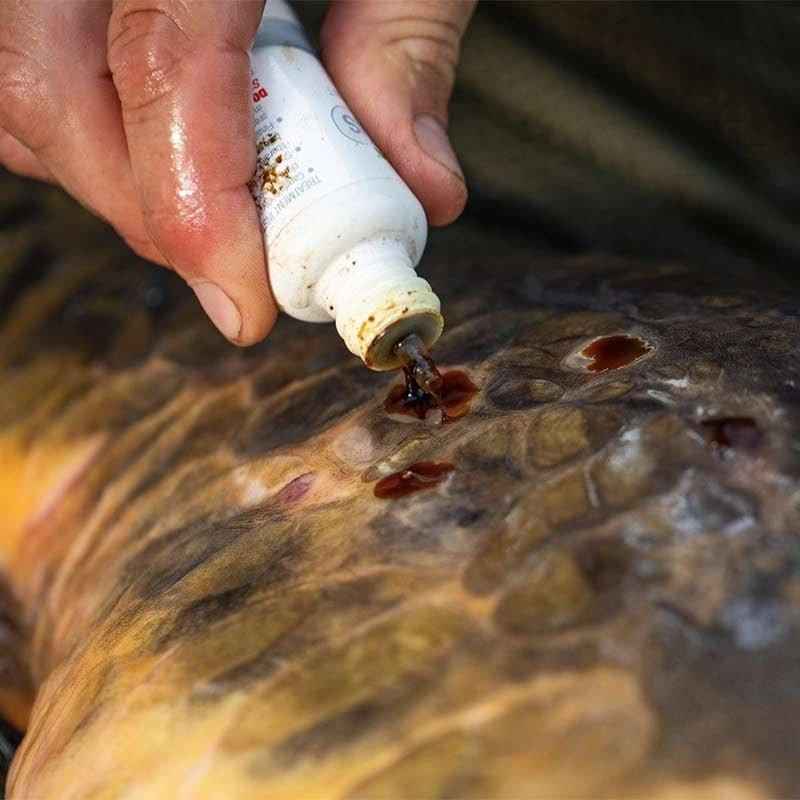 Korda Propolis Carp Treatment - Carpela - minuteria per carpisti