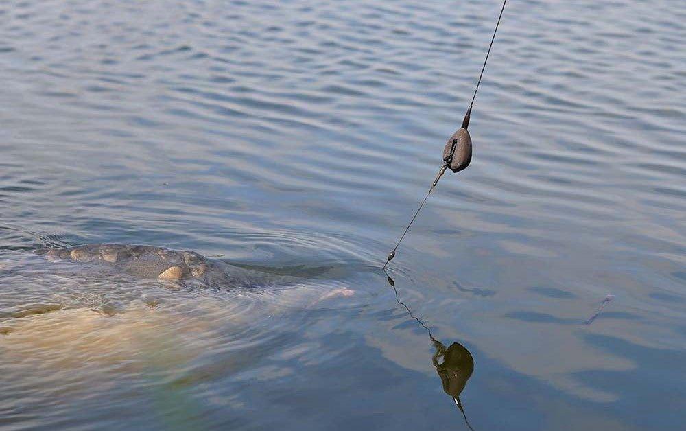 Pole Position Central Shocker System Action Pack Silt - Carpela - minuteria per carpisti