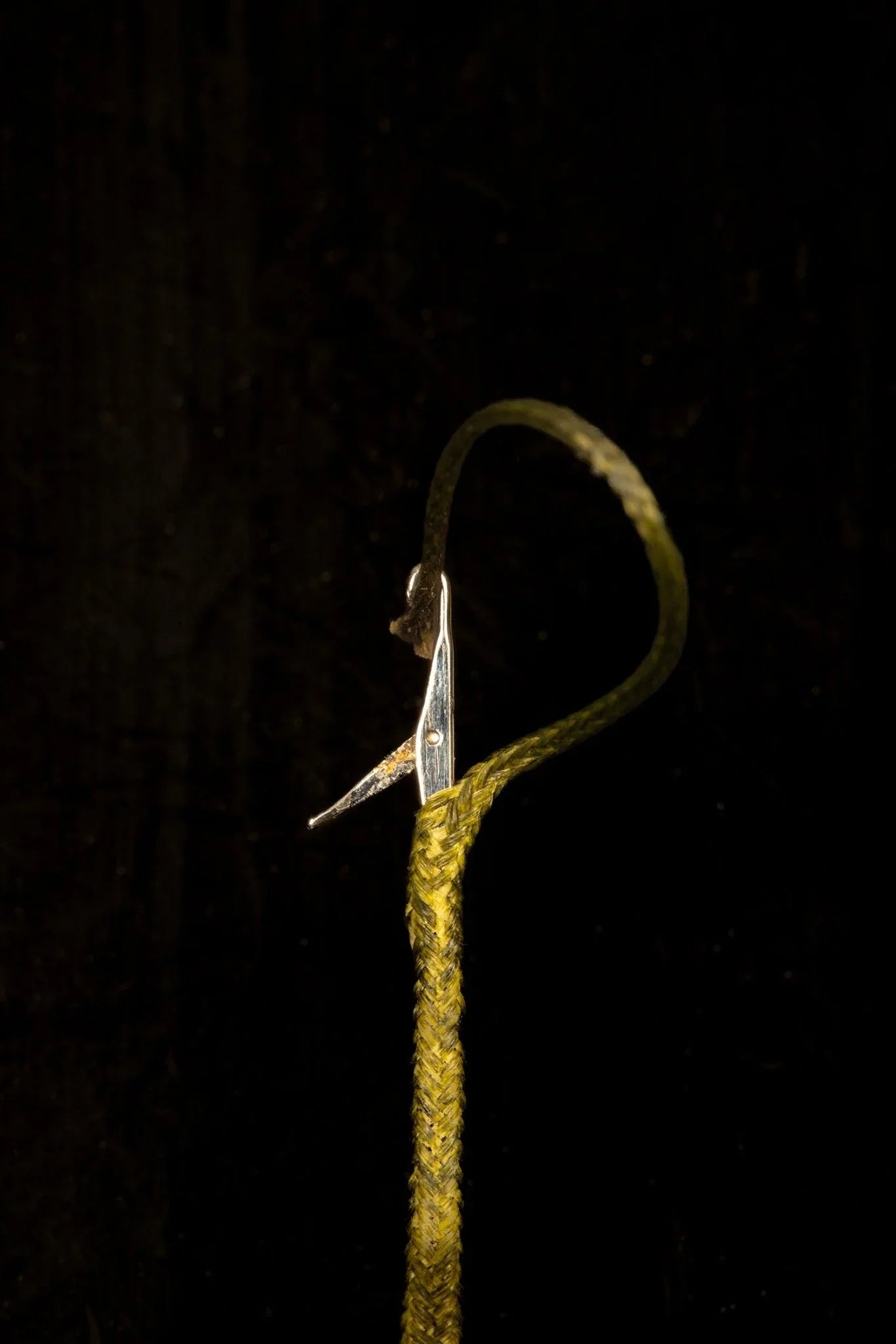 Pole Position Heavy Shield Hollow Core - Carpela - minuteria per carpisti