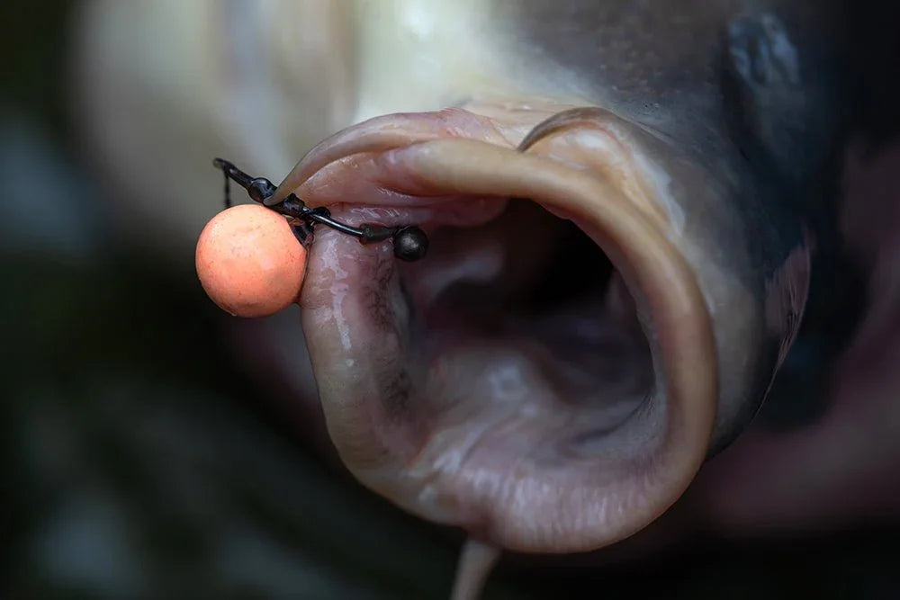 Pole Position Tungsta Hook Shot - Carpela - minuteria per carpisti