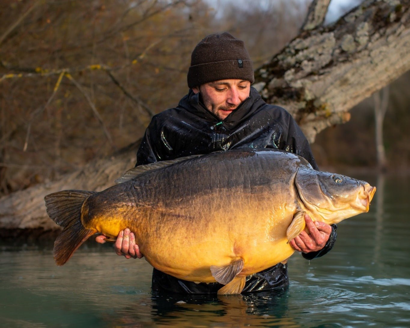 Inverno: pochi like, ma tanti bite (se giochi bene le tue carte) - Carpela