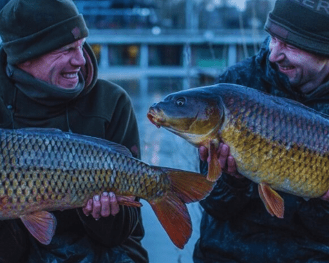 Inverno: pochi like, ma tanti bite (se giochi bene le tue carte) - Carpela