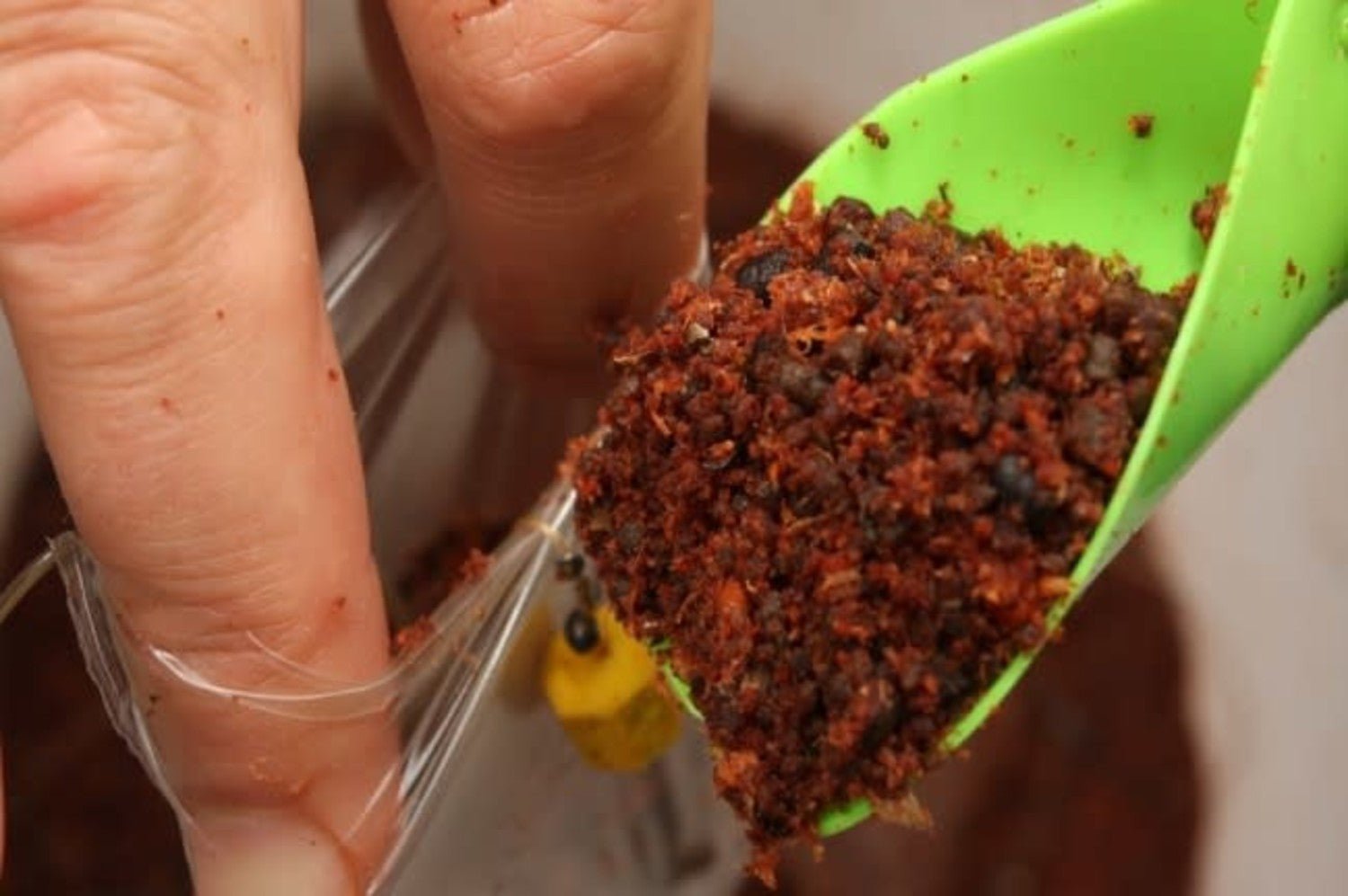 Immagine di KORDA Solidz PVA Bags, per carpfishing venduto da Carpela