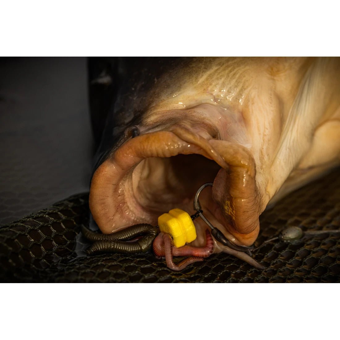 Immagine di Pole Position Pop - up Worms, per carpfishing venduto da Carpela